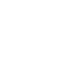 vision-icon-white