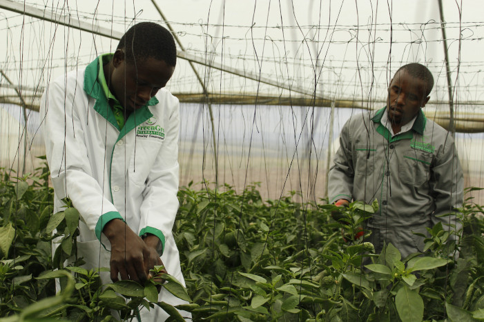 CSR- Our people - Training 4