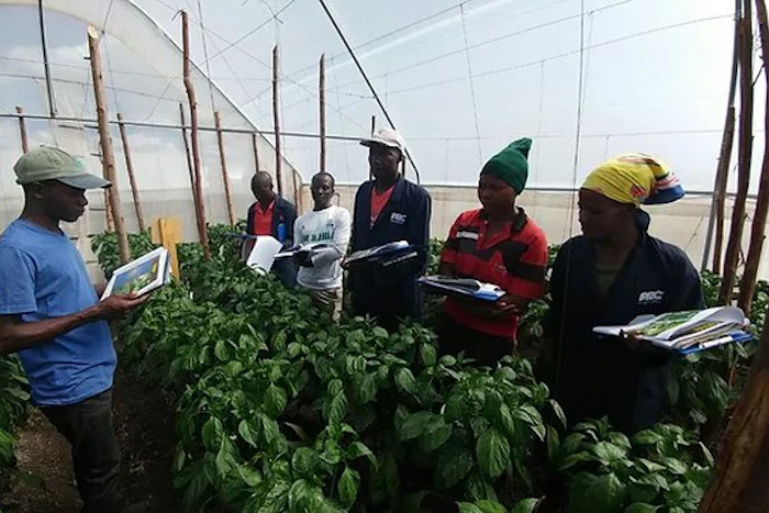 CSR - Supply chain - how greengro works 3