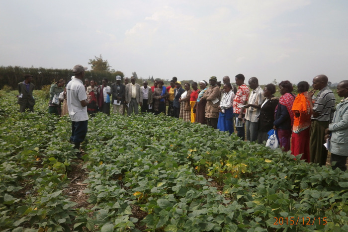 CSR - Supply chain - how greengro works